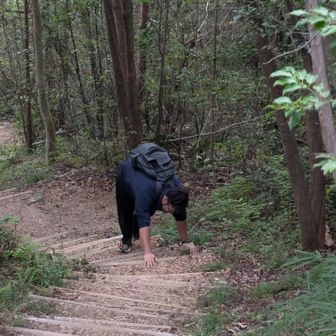 モザ…さん？