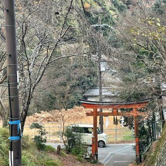 下山。
今日はニャンコが1匹もいないと思ったらケーブル駅跡で餌付けをしているお姉さんがいたようです😆🐱