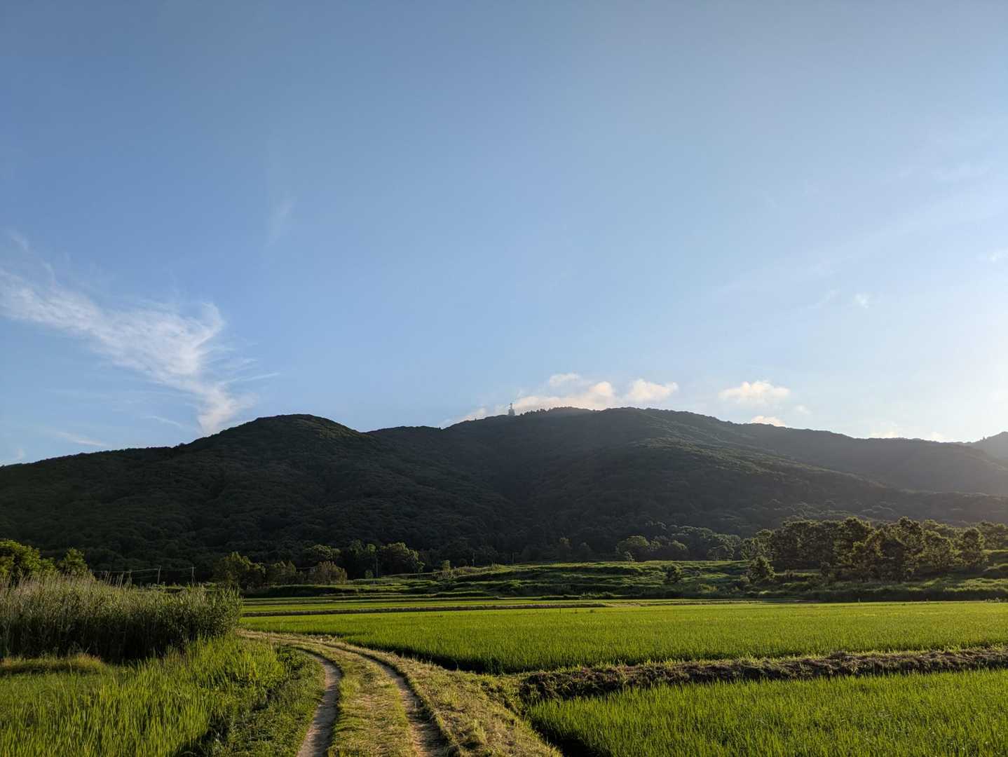 登山スタートします⛰️