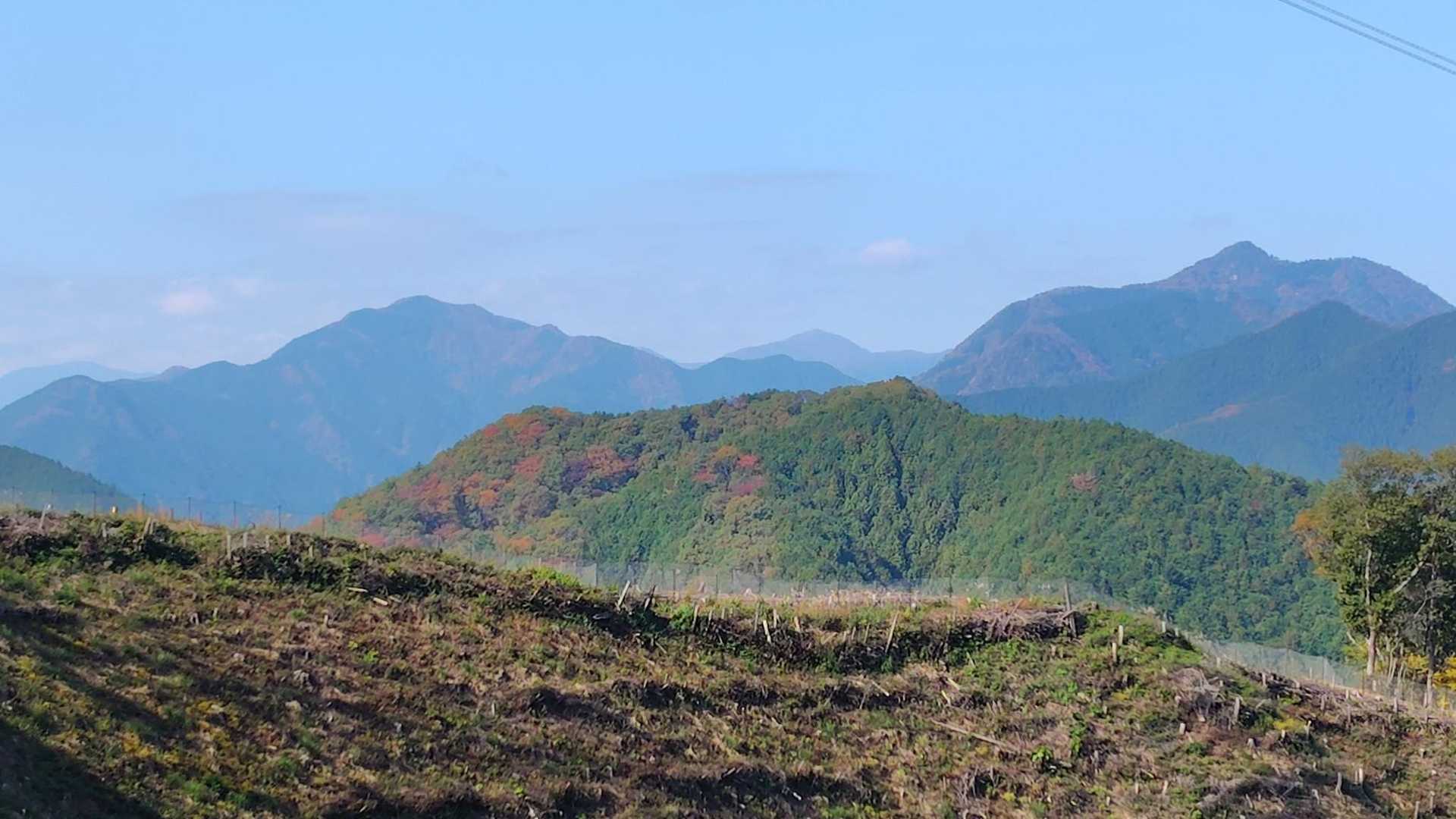 拡大 御前山、鷹ノ巣山、大岳山