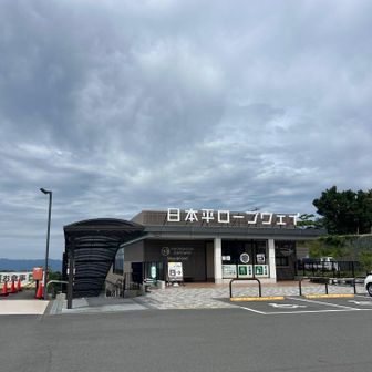 日本平ロープウェイ
なんと下に下るロープウェイ🚡😙