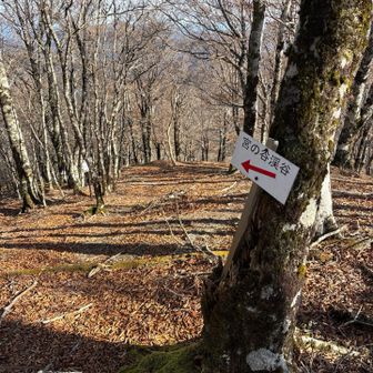 いつか行ってみたい渓谷ルート‼️