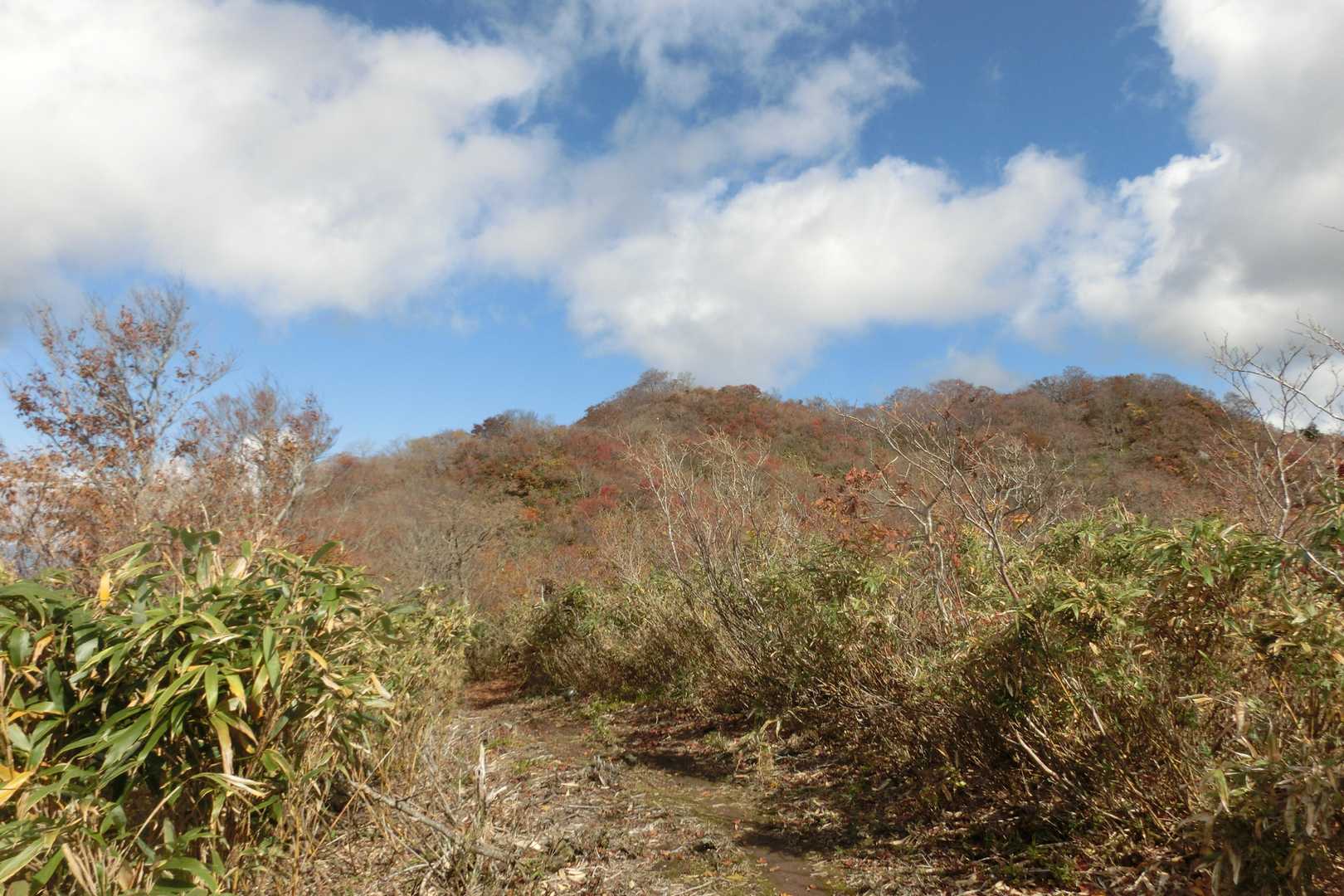 貝月山 往復コースの写真
