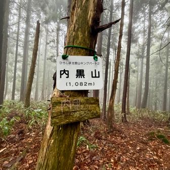 山頂に到着👍里キン看板🪧だけ。