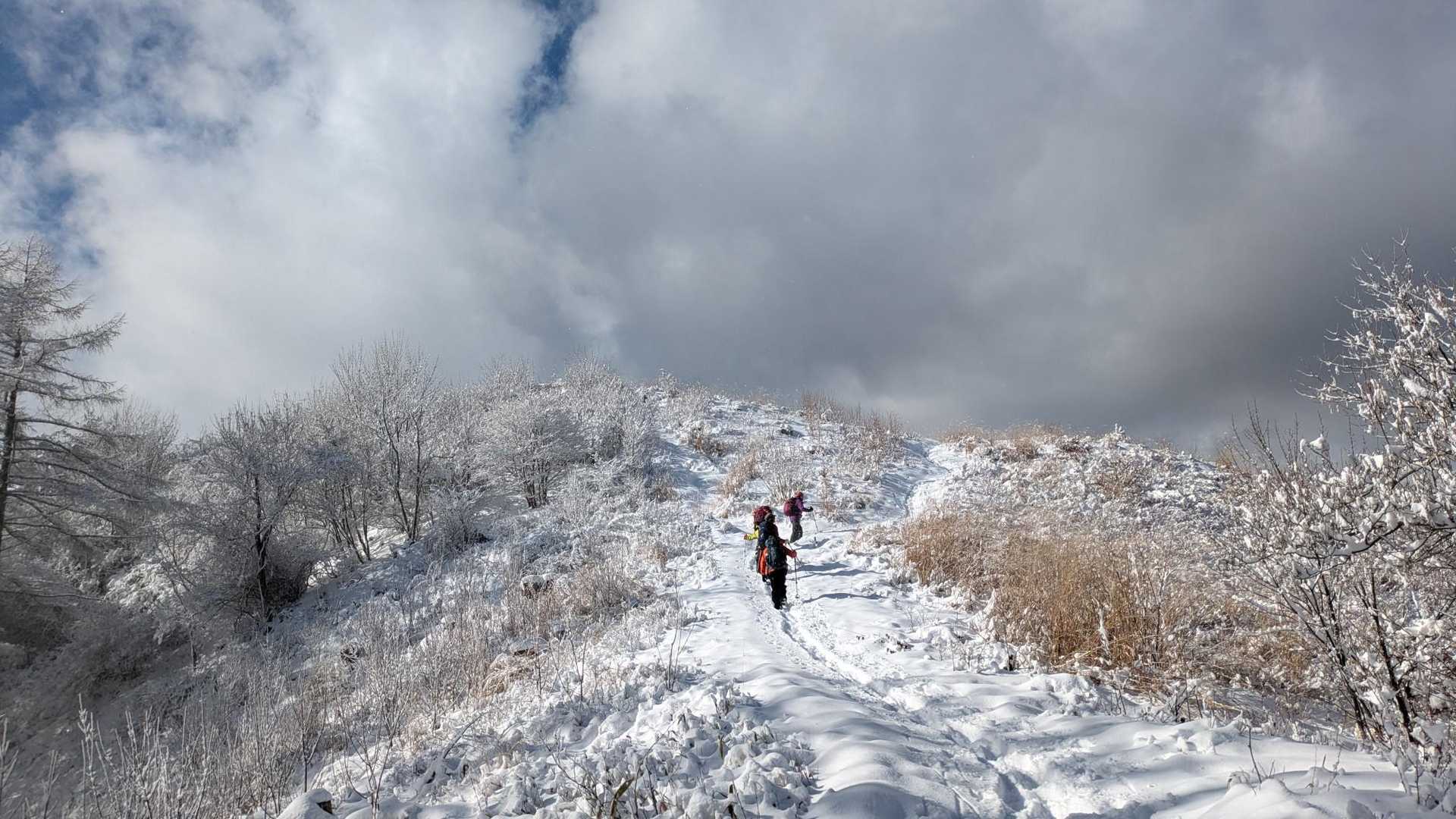 守屋山登山道入口-守屋山登山道入口-守屋山東峰 往復コースの写真