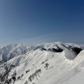 奥に目的の頼母木山が見えてきた。
目指す山が見えているのが良い