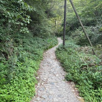 下山開始。
この先は今日も水が流れておりザレた地面がる濡れてました。