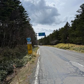 車道を歩って…
