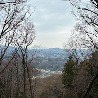 城山の頂上標識は見つけられませんでした