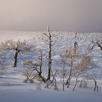 無事下山🏁
最後に晴れてくれて最高でした🙆‍♂️