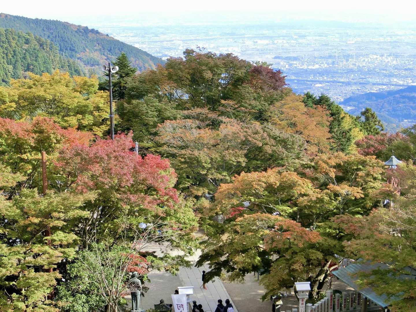 阿夫利神社下の広場
紅葉🍁している木もあります🎶