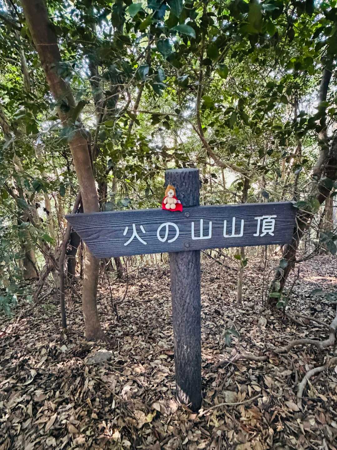 山頂プレート🦁