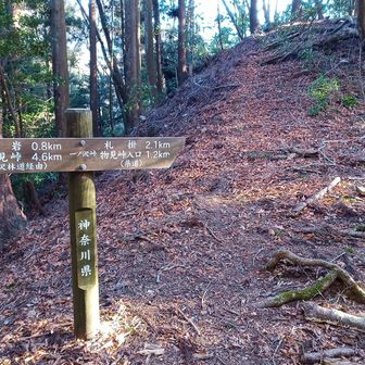 一ノ沢峠から北尾根上部方向。左右どちらも通行禁止