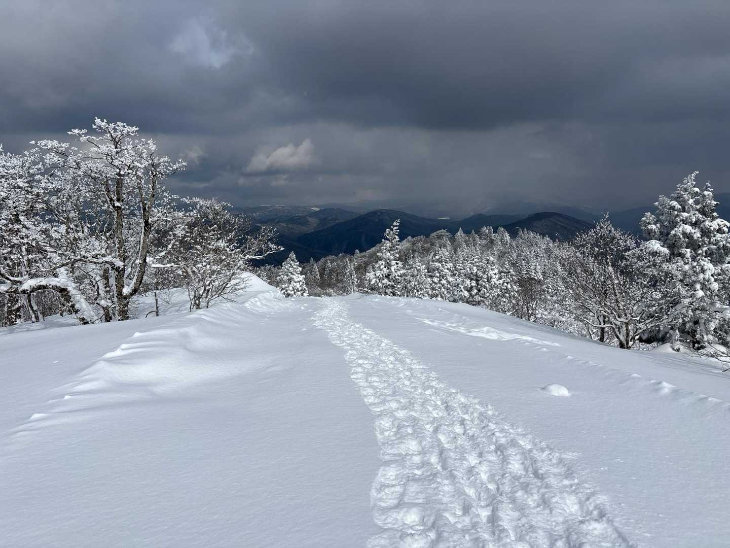 恐羅漢山 往復コースの写真