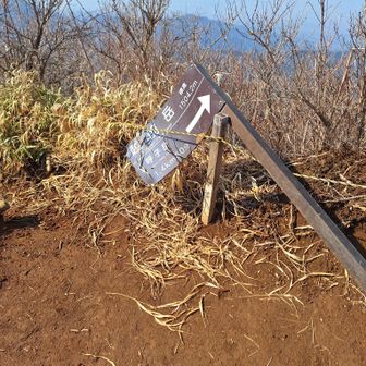 では、呼子岳に向かいます