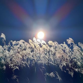 お月見じゃないけど🎑