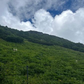 この雲行きとともに私の足も悲鳴を上げ始める🙀