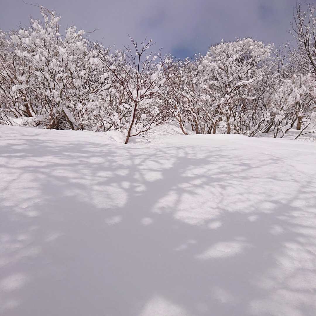 ここを登れば、御堂山。
青空が待っている😀
もう少し💦