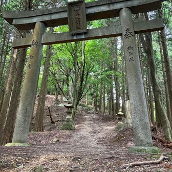 涼しい渓谷の渡渉を繰り返し(どっかの案内板に13回の渡渉って書いてあった)、残りあと少し。
お寺にお邪魔します🙏