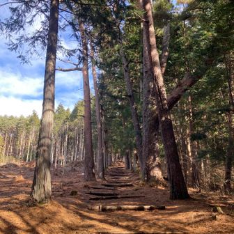 ではまた近日中に🙋‍♂️
