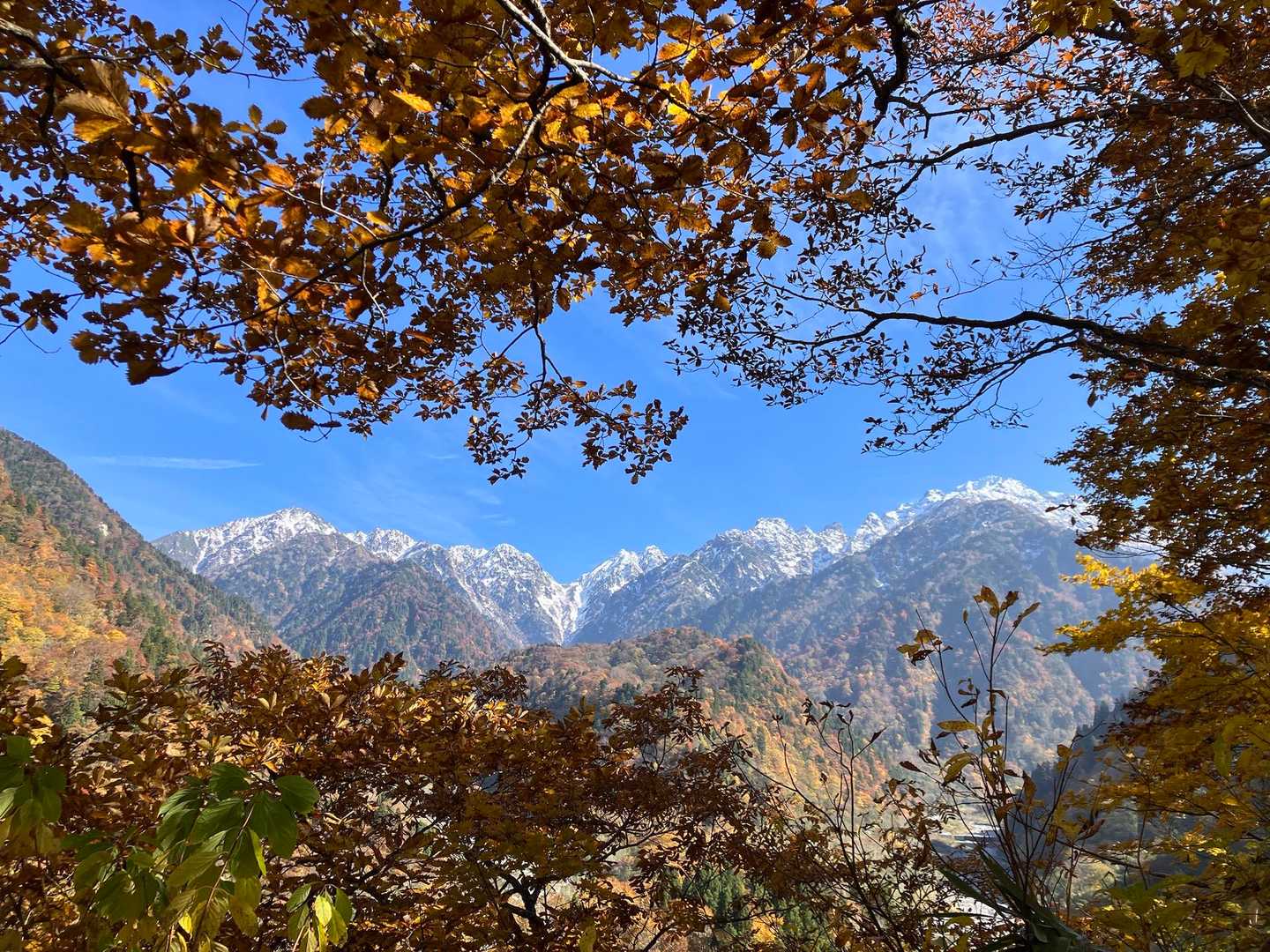 中山登山口-中山 往復コースの写真