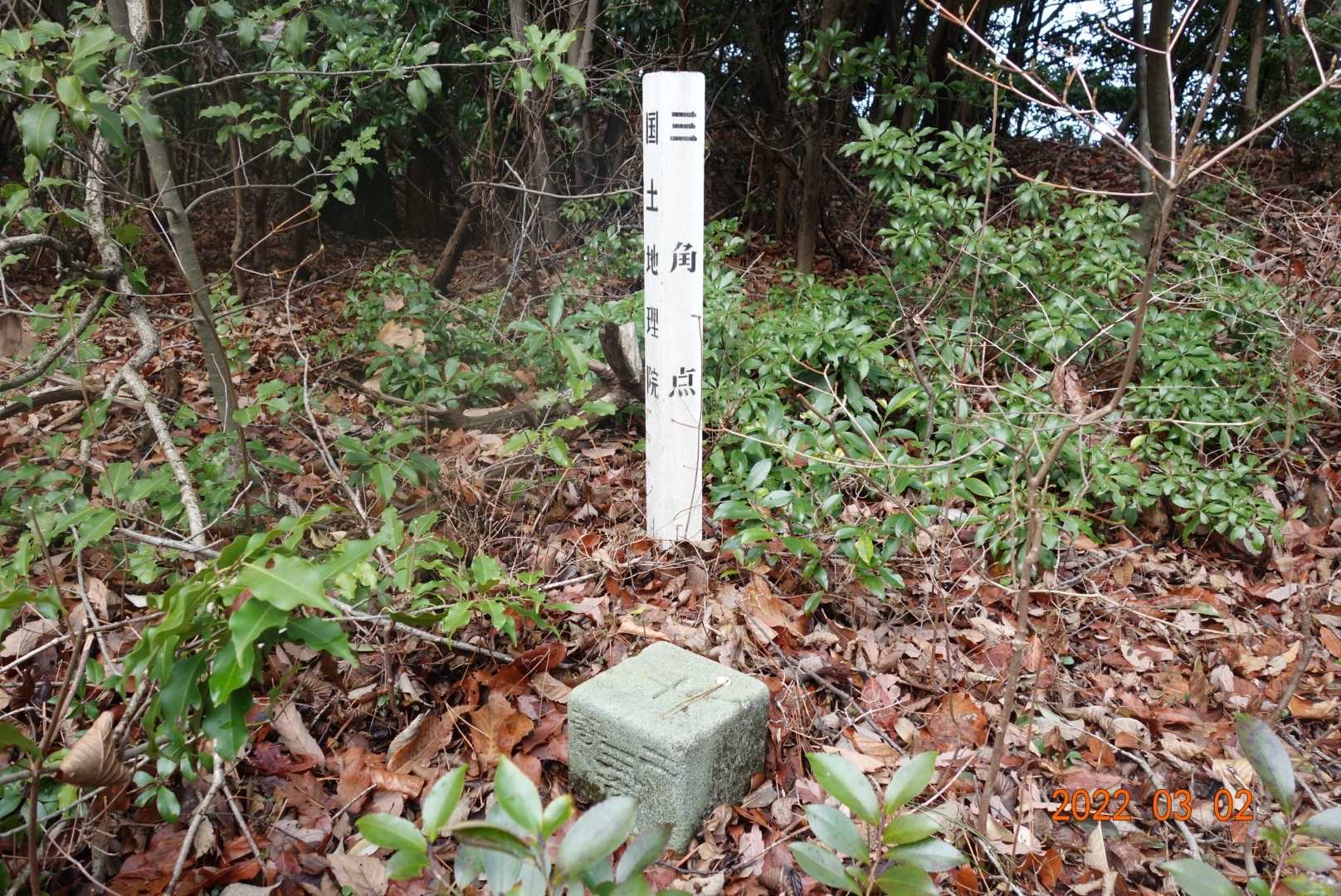 やっとこ山頂。三角点発見😄