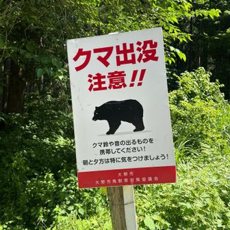 熊🐻対策で本日は100均のピストル🔫持って来て、所々パンパン鳴らしました！