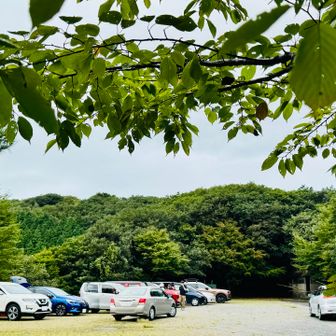 登山口で振り返ると🚗が次々と…
台風🌀というのに皆んな山が好きなんだなぁ😊