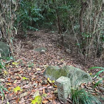 ここから先は本格的登山