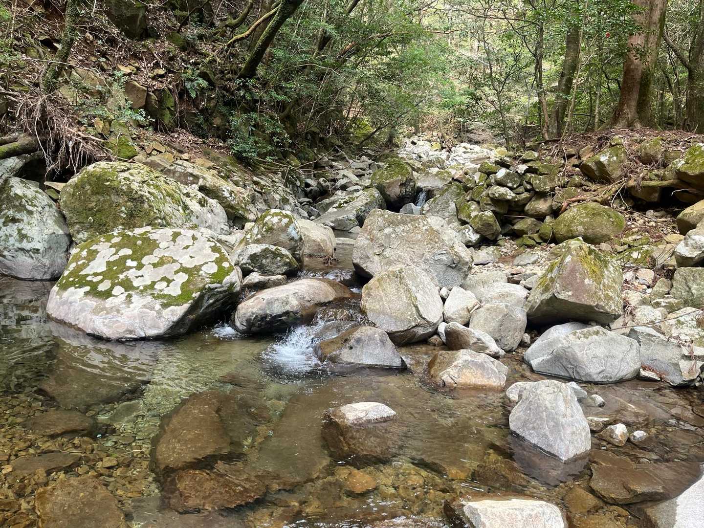 正面登山口-尾鈴山-長崎尾-矢筈岳 周回コースの写真