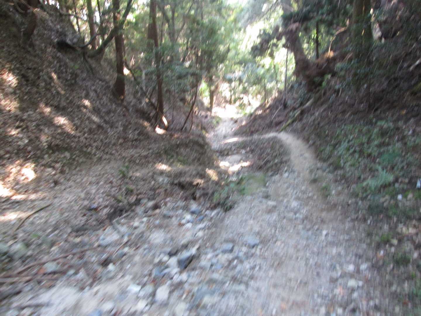 坂本に下山。荒れてますねえ。
