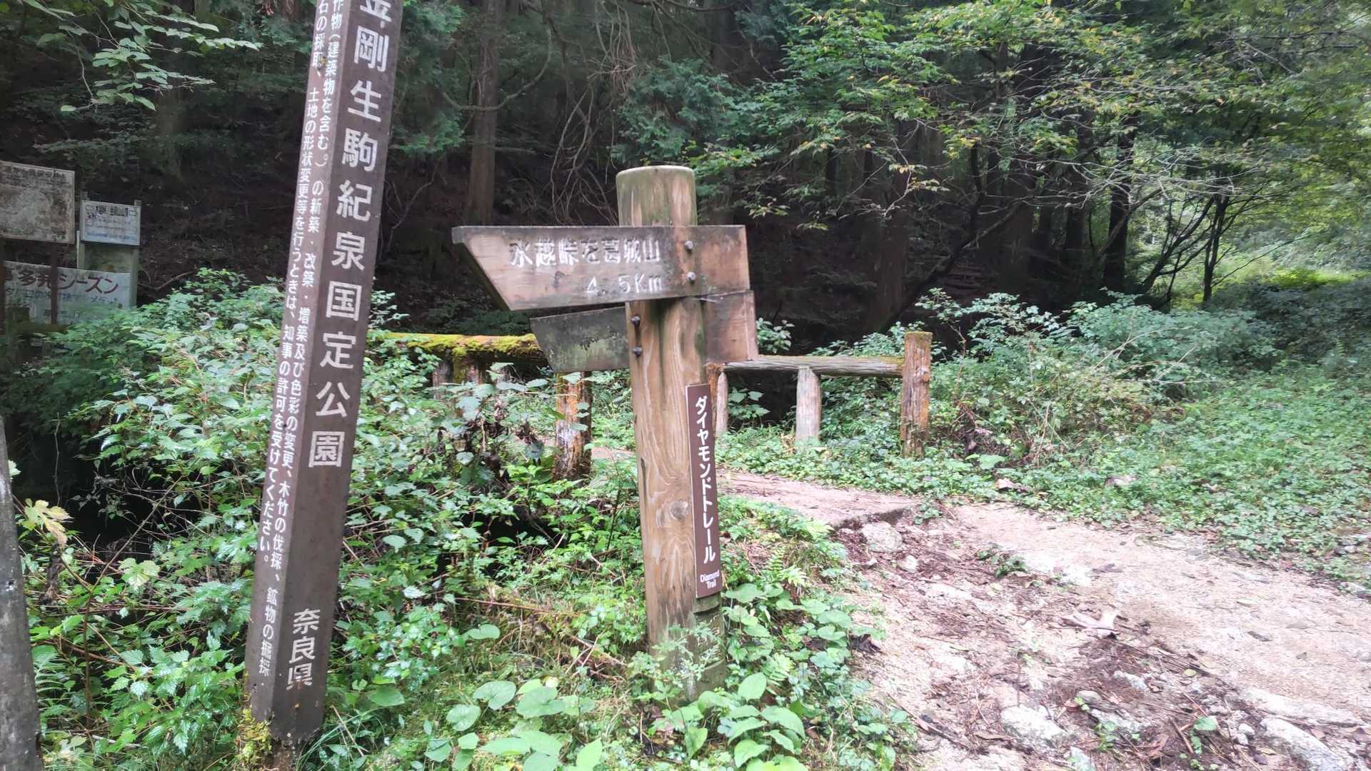 ここまで林道でしたが、ここから橋を渡って山道です👈️