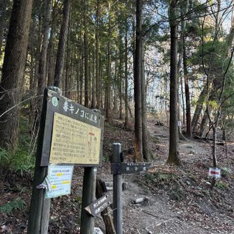 あっという間に、山頂下に到着。