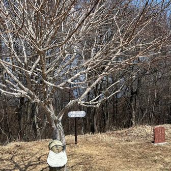 太郎山に登頂。
此処でいきなり足が攣る。🤣