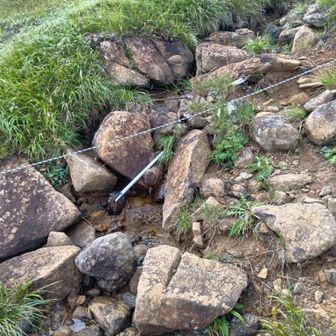 2日目、朝日岳山頂を過ぎて水場。
ヤブコギの前に水補給(手持ち4Lに)。
※朝日岳山頂を過ぎて、宝川温泉分岐を50ｍほど進んだところ。水出てました。
※枯れていたら、池塘で水を確保するつもりでした。4Lでは当日と翌日朝+αまでしか持ちません。