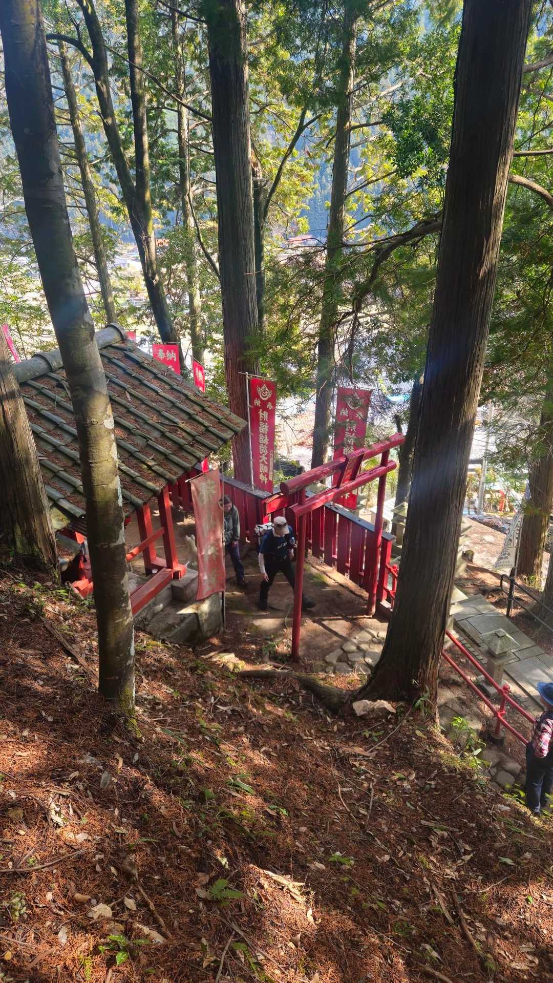 岩渕山-感応山 縦走コースの写真