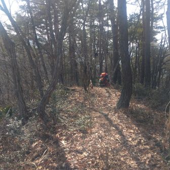 小岡山、三角点無し。