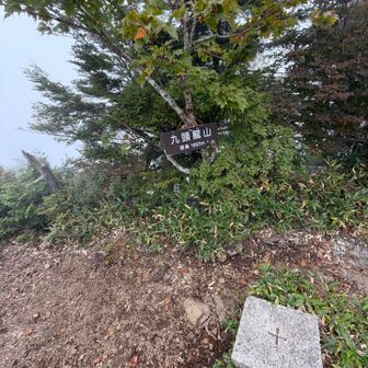 九頭龍山に到着
遠くから救急車の音が聞こえてきます