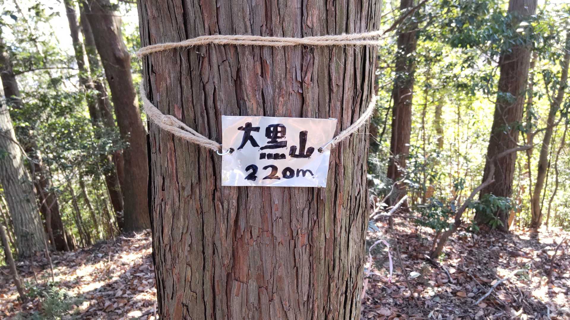 展望なし