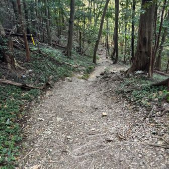 しばらく下らされます😃