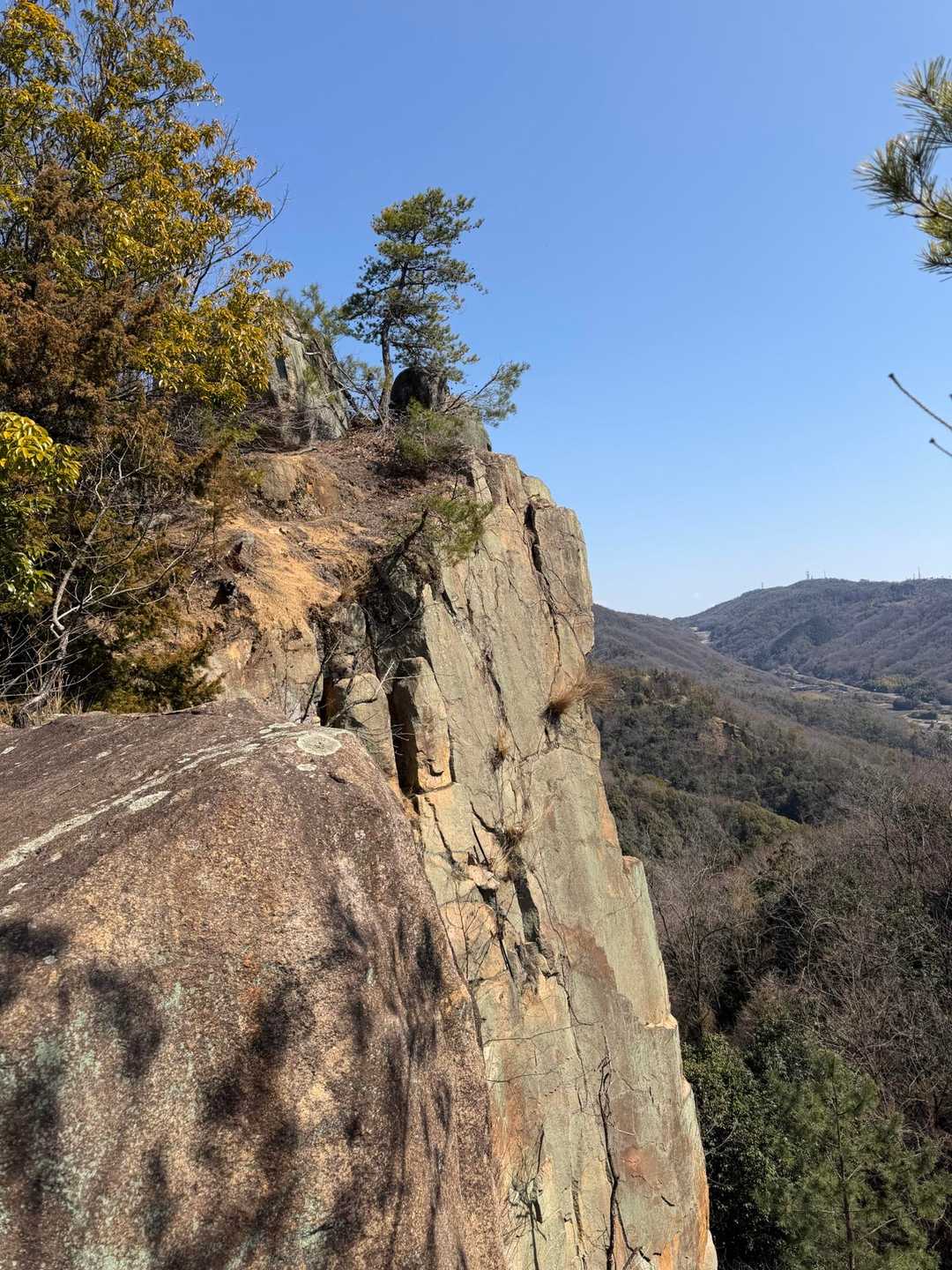 向山-杉山-高丸 周回コースの写真
