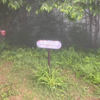 山頂真っ白
登った証拠写真
