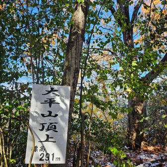 　大平山🙌
鳩吹の七座　やったね😉
▪︎▪︎▪︎ひと筆かぁ