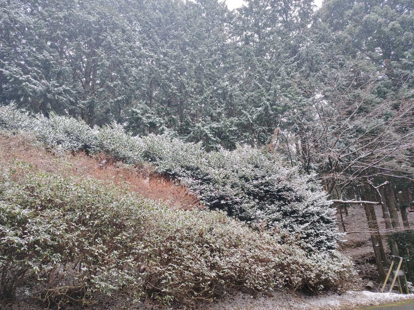 山頂近くはかなり❄