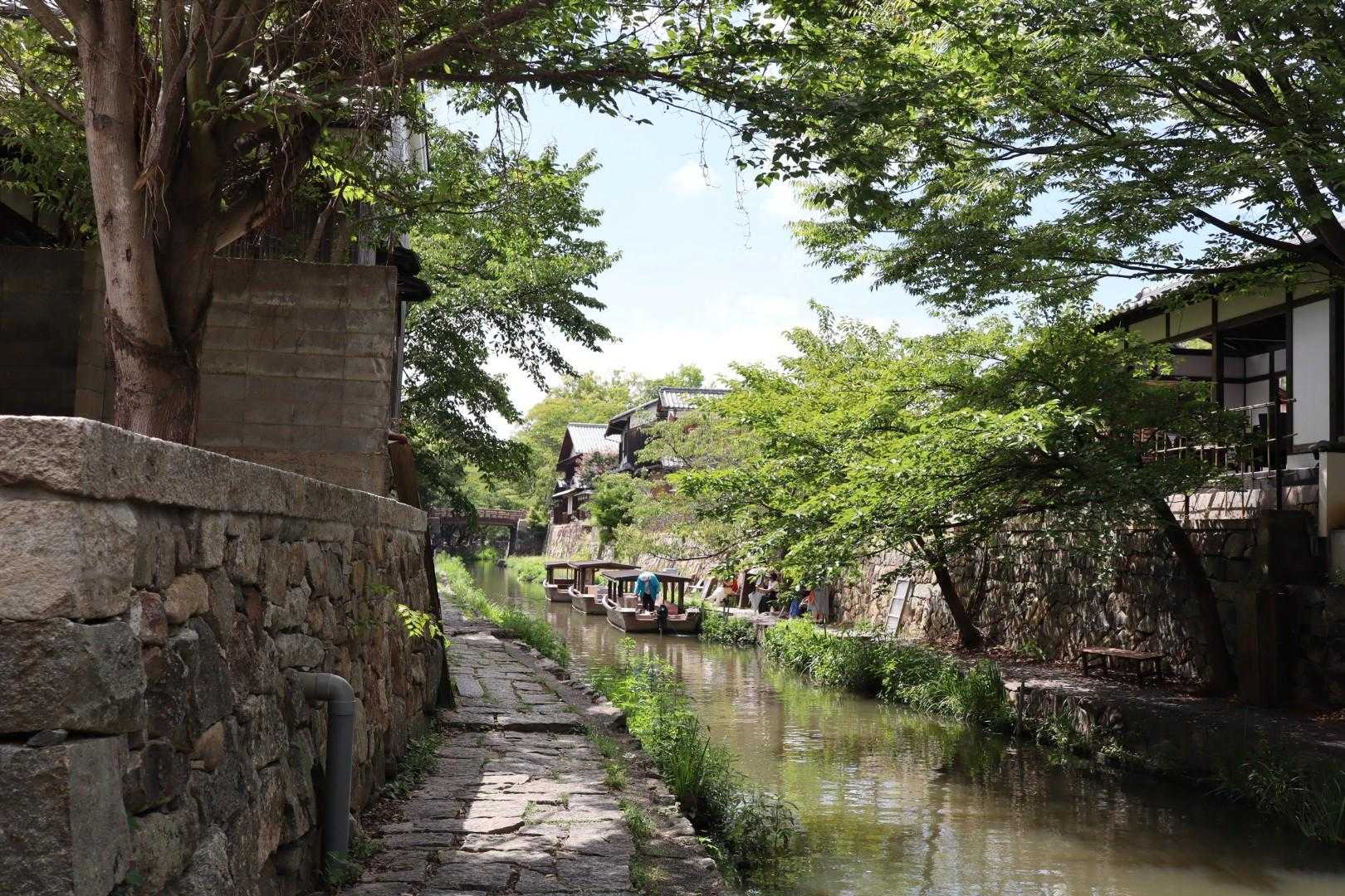 鶴翼山-西ノ丸-八幡神社登山口-八幡山ロープウェイ前バス停 縦走コースの写真
