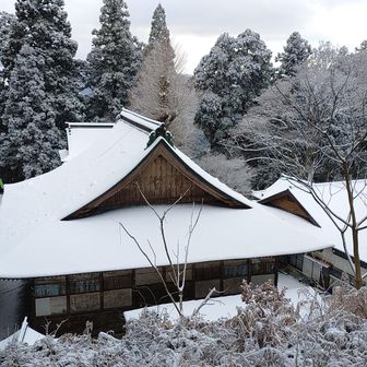 おぉ〜😃釈迦院後ろから見たの初めてです😊