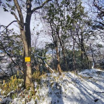 山頂票は北の端に