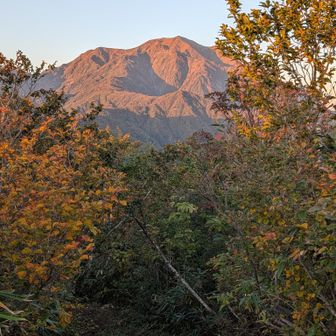朝日に照らされる越後駒ヶ岳