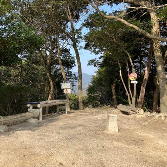 歩きやすい登山道を歩いて約40分で片縄山にとうちゃこ