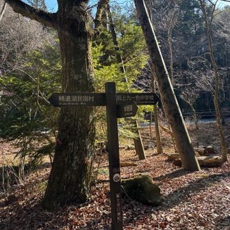 一旦車道を渡ります。トンネルもありますが暗くて怖い😱